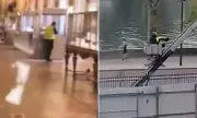 Louvre 'Heist' Sparks Internet Frenzy: Conspiracy Theorists Claim Elaborate Hoax in Paris Museum