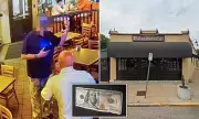 Luxury Car Dine-and-Dash: Lexus Driver's Fake Money Restaurant Scam Exposed
