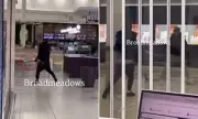 Machete-Wielding Gangs Bring Terror to Melbourne Streets in Broadmeadows Brawl