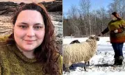 Maine Homesteader Sparks Outrage with Graphic YouTube Sheep Butchery Tutorial