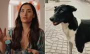Married at First Sight UK Honeymoon Horror: Bride Hospitalised After Vicious Dog Attack