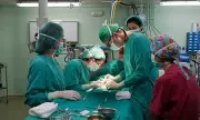 Medical Marvel: Genetically Modified Pig Liver Successfully Filters Human Blood in Groundbreaking Transplant Trial