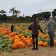 Meghan Markle's Heartwarming Family Video Reveals Sweet Home Life with Harry and Kids