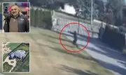 Michigan Car Dealership Shooting: Gunman Opens Fire on Luxury Land Rover in Terrifying Attack