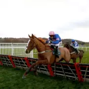 Monday's Racing Gold: Newsboy's Unmissable Horse Racing Tips & Predictions