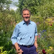 Monty Don's Secret Weapon: The One Plant That Will Transform Your Garden This Summer
