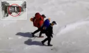 Mount Bogon Tragedy: Two Hikers Found Dead in Victoria's Alpine Region - Police Release Identities