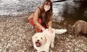 My Dog's Separation Anxiety Forced Me To Quit My Job: The Heartbreaking Reality For Pet Owners