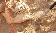 Napoleon's Army Decimated by Hidden Killers: Shocking Dental DNA Reveals Typhus and Trench Fever Ravaged French Troops During Russian Retreat