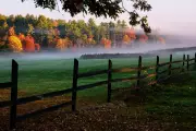 New England's Autumn Spectacle: Why This Year's Fall Foliage Will Be Most Vibrant in Years