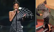 Nicole Scherzinger's Dress Drama: Pussycat Doll Stuns in Figure-Hugging Gown at Royal Albert Hall