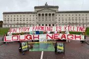 Northern Ireland Faces Environmental Crisis as Watchdog Delay Sparks Outrage