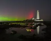 Northern Lights Dance with Bellowing Stag in Spectacular UK Display | Nature's Theatre