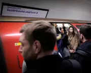 Northern Line Mystery: Engineers Stumped by Persistent Signalling Failures
