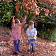 October Half Term 2024: 9 Free & Low-Cost Family Activities to Beat the Budget
