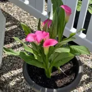 Only People With 2020 Vision Can Spot The Hidden Number In This Mind-Bending Optical Illusion