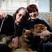 Ozzy Osbourne's Final Curtain Call: Rock Legend Bids Emotional Farewell to Live Performances