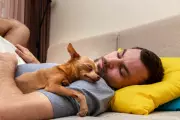 Paws for Thought: How Dogs Help Us Manage Stress and Boost Wellbeing, According to Science