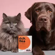 Pet Owners Rejoice: This Vet-Approved Flea Treatment Is Now Just £7 at The Range