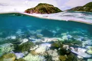 Planet on the Brink: Scientists Warn Three Critical Climate Tipping Points Could Fall Within Decade