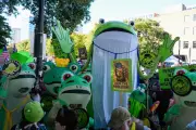 Portland's Antifa Activists Adopt 'Frog' Emblem in Defiant Anti-Fascist Stand