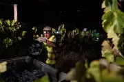 Portugal's Alentejo Region Faces Critical Water Shortage as Drought Emergency Declared