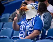 Premier League Pulse Check: Fans Reveal Their Top Goals & Biggest Blunders of the Season