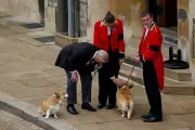 Prince Andrew and Ex-Wife Sarah Ferguson Inherit Queen's Beloved Corgis at Royal Lodge