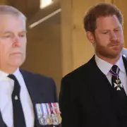 Prince Harry's Royal Reconciliation Hopes Revealed: Inside The Duke's True Feelings About Returning To The Fold