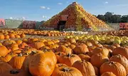 Pumpcano Eruption! Tulleys Farm's Spectacular Halloween Attraction Offers Half-Price Family Fun