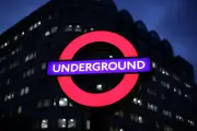 Purr-fect Partners: TFL Teams Up With Cats Protection For Purr-fect Rehoming Mission