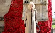 Queen Camilla's Poignant Tribute: Creating a Sea of 10,000 Remembrance Flowers Near Wiltshire Estate