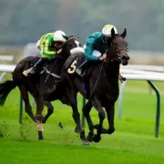 Racing Expert's NAP of the Day: This 5/2 Shot Could Gallop to Victory at Nottingham