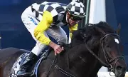 Racing World Stunned as Dual Cox Plate Champion Dies at Age 30
