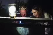 Rare Giant Moth Hunt: The Elusive Southern Pink Underwing Sparks Major Search in Australian Rainforest