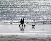 Reform UK's Kent Surge: How Economic Despair is Reshaping British Politics