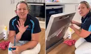 Rental Nightmare: Tenant Faces £1,500 Bill After Dishwasher Door Falls Off During End-of-Lease Clean