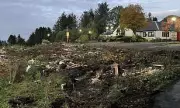 Restaurant Owners Felled 80 Trees for Car Park - But Got More Than They Bargained For