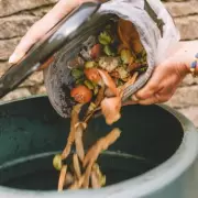 Revolutionise Your Garden: The Kitchen Scrap That Supercharges Plant Growth Naturally