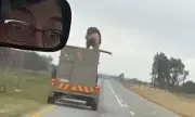 Roaring Terror on British Roads: Moment Escaped Lion Leaps at Moving Car in Heart-Stopping Footage