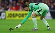 Rodent Invasion Halts Wales vs Belgium World Cup Qualifier as Rat Infestation Plagues Cardiff City Stadium