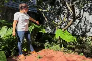 Roman DNA Discovery Rewrites New Orleans History: Ancient Italian Ancestry Revealed