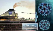 Royal Caribbean Cruise Hit by Norovirus Outbreak: Over 70 Passengers Stricken with Sickness