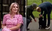 Royal Spaniel Steals the Show: Prince William and Kate's Beloved Dog Orla Makes Rare Television Appearance