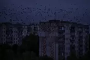 Russia Unleashes Fresh Energy Blitz on Ukraine: Power Grid in Peril as Winter Looms