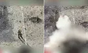 Russian Soldier's Surrender Attempt Ends in Tragedy as Putin's Drone Detonates Explosive