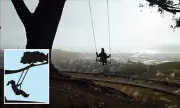 San Francisco's Beloved Rope Swing Faces Removal After Tourist Injury Sparks Safety Fears