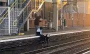Shocking Betrayal: Good Samaritans' Phone Stolen After Train Rescue Drama