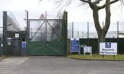 Shocking Prison Security Breach: Inmate Walks Out of Jail to Pick Tomatoes for Canteen