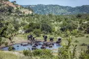 South Africa Renames Kruger National Park in Historic Move Away from Colonial Legacy